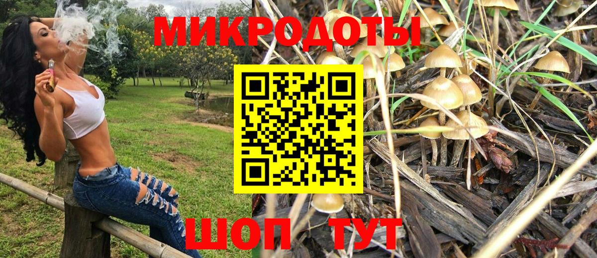 Галлюциногенные грибы Cubensis  Вход с VPN  Псилоцибиновые грибы Psilocybe  Ефремов 