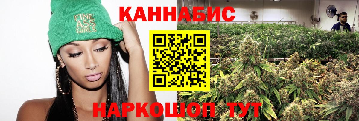 Шишки марихуана планчик Ефремов
